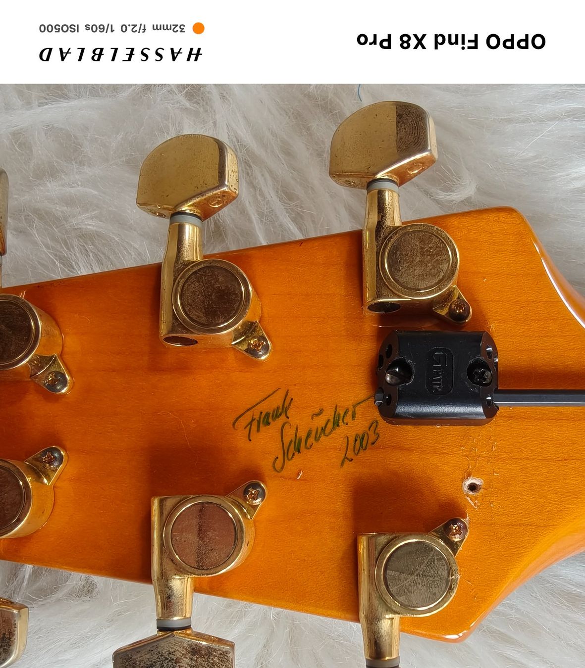 Strumenti musicali: Zerberus Q-Deluxe Jg. 2003 – Usato da Seuzach venduto da Markleeroy 4
