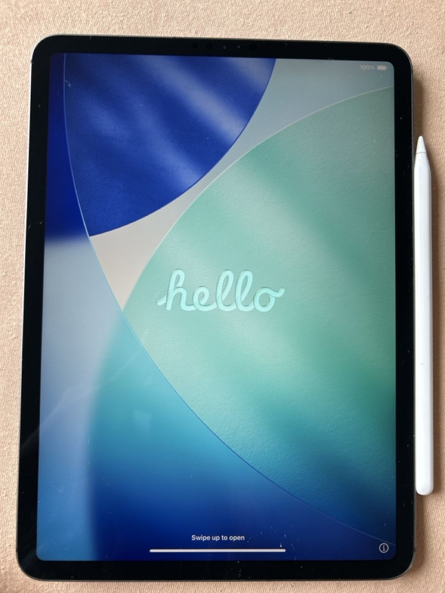 Apple Tablet PC: iPad Pro 11 2020 WiFi & Cellular, Magic Keyboard, Apple pen – Usato da Zürich venduto da cor_55xv