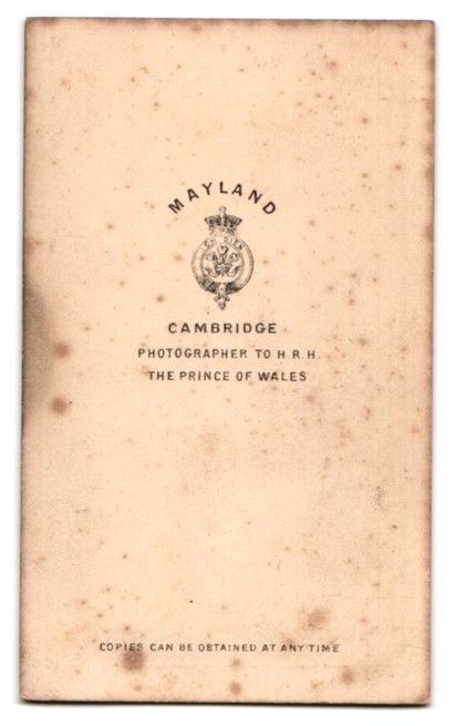 Fotografie & Manifesti: Fotografie Mayland, Cambridge, Portrait  – Usato da Berlin venduto da bartko-reher 1