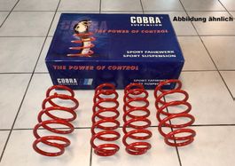 Cobra Federnsatz 40/30 & 30/30mm BMW 5er