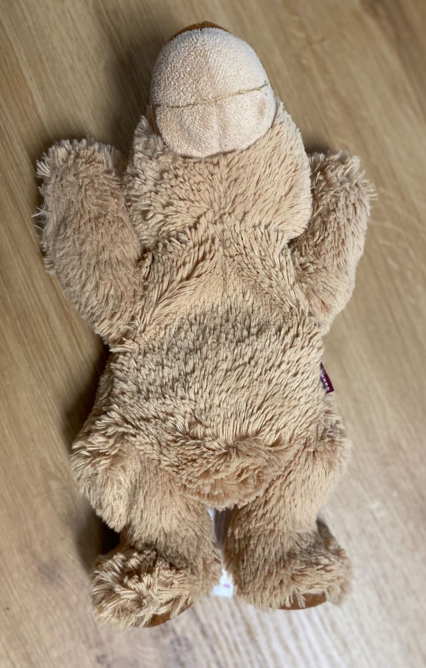 Warmies Giocattoli: Warmies® "Liegender Bär" – Nuovo (secondo la descrizione) da Bargen SH venduto da Sandra_Giuliano 2