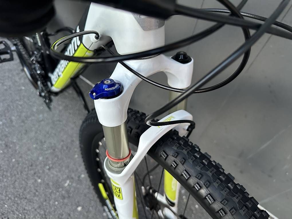 Biciclette: Bicicletta MTB Bergamont 29 Carbonio  – Usato da Quartino venduto da DiloUsato 7