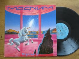 MAGNUM VISILANTE