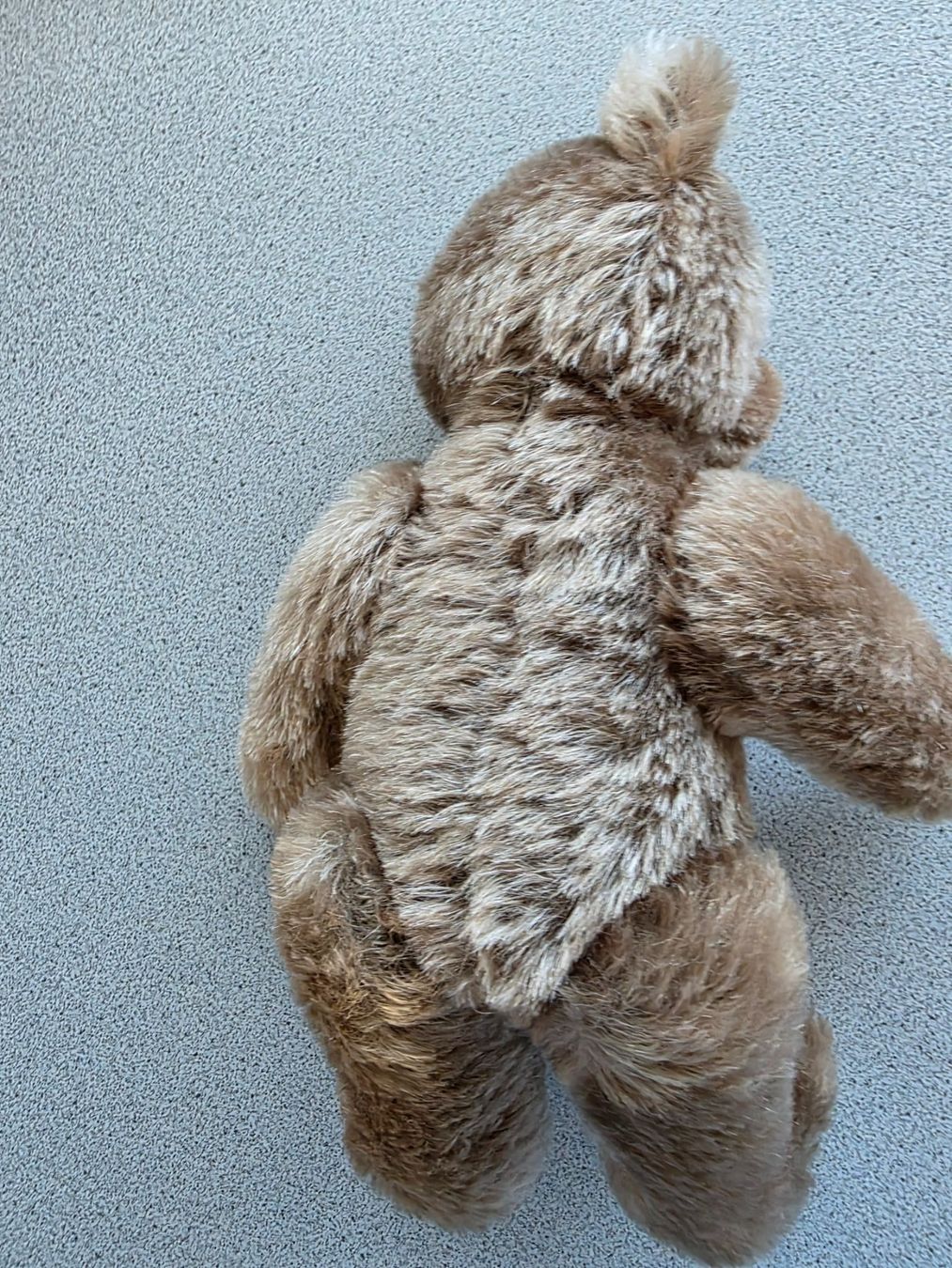 Steiff Giocattoli: STEIFF Teddy 25 cm, nicht bespielt – Usato da Burgdorf venduto da Liss 4