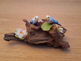 Vogel Diorama, Miniaturen, Setzkasten