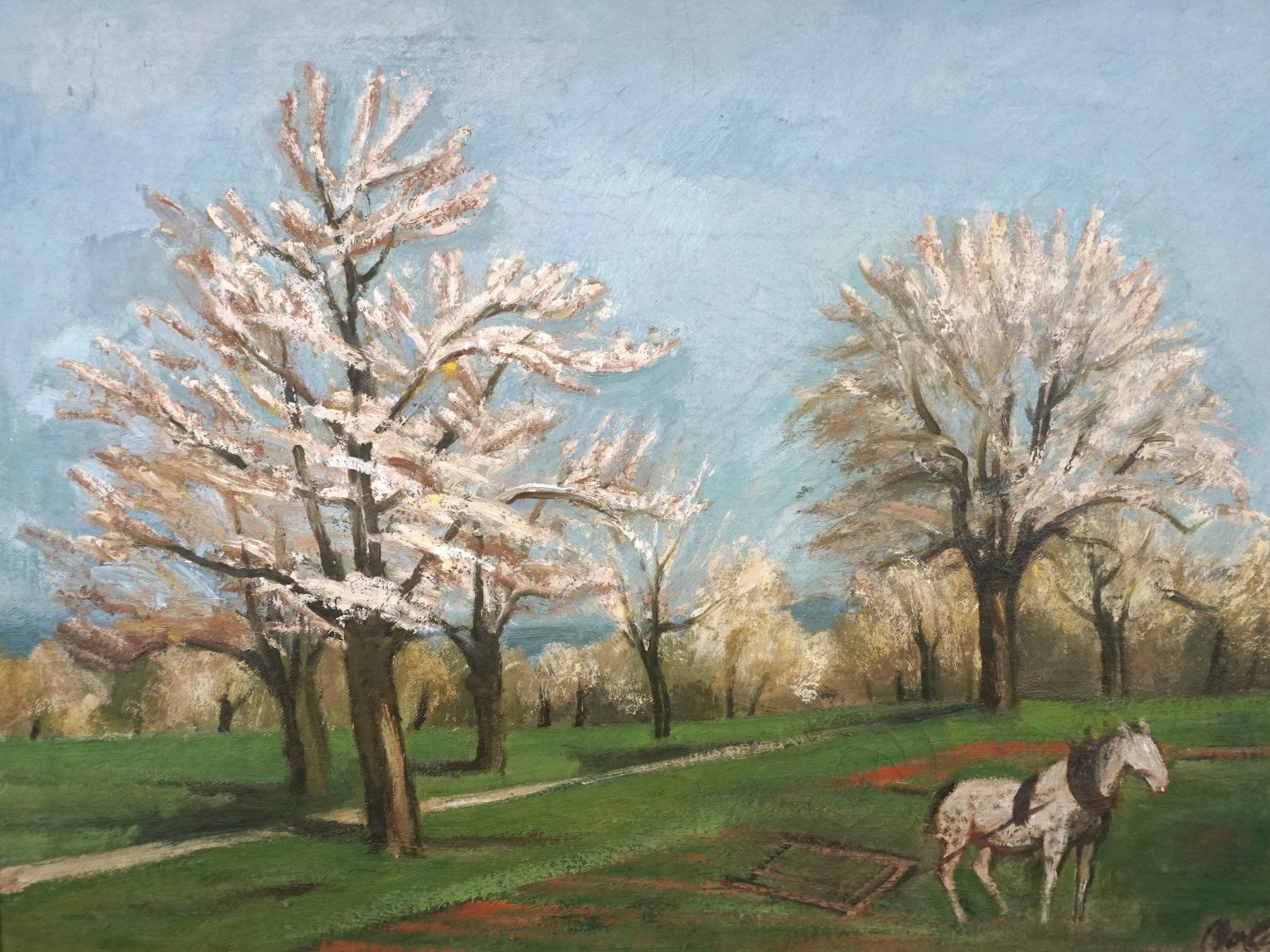 Dipinti: Ölgemälde "Weisser Frühling" – Usato da Pratteln venduto da Restwert_Pratteln 1