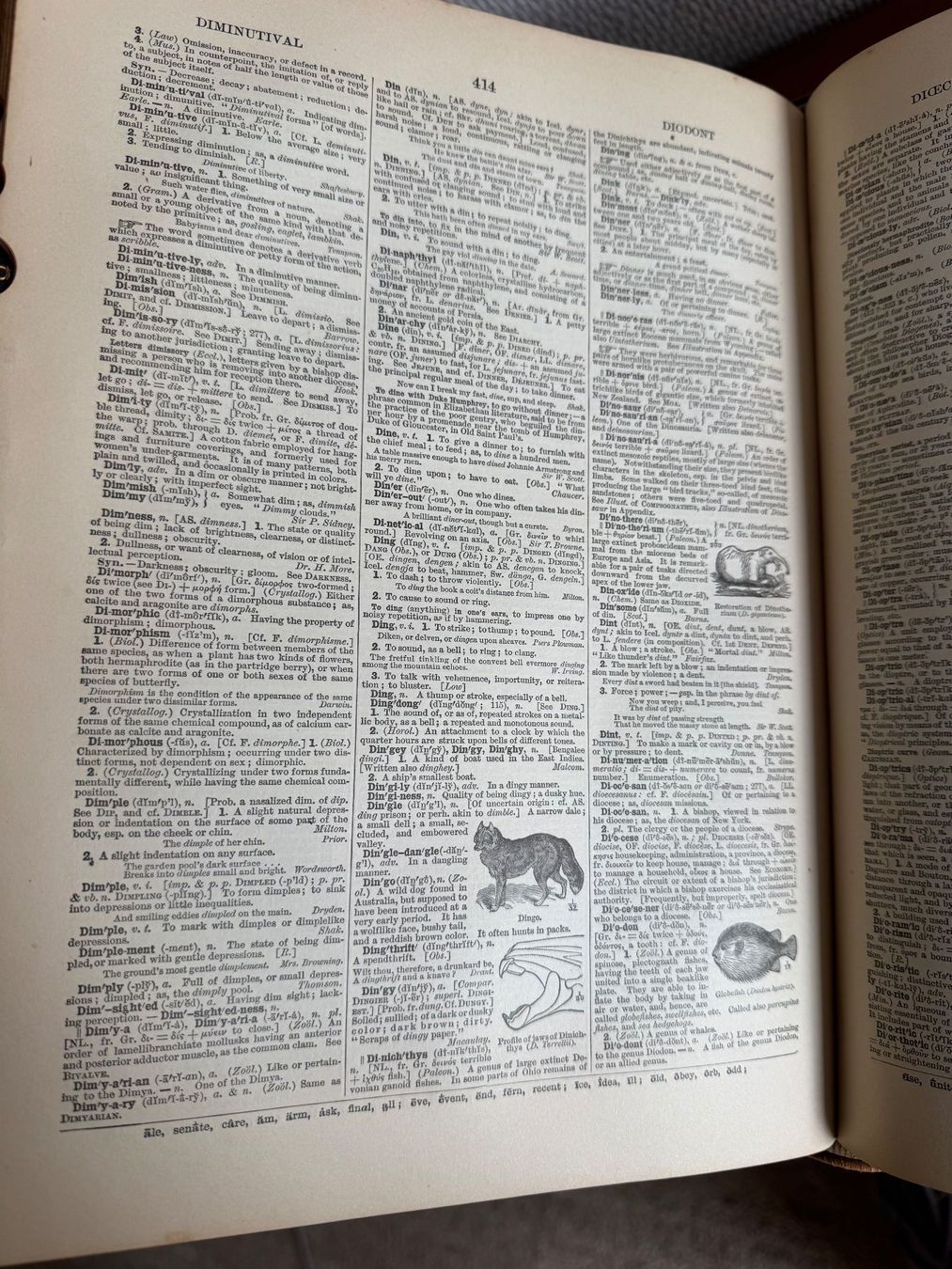 Libri: Antikes Monumental-Buch: Webster's International Dictionary – Usato da Bülach venduto da Sandor 1