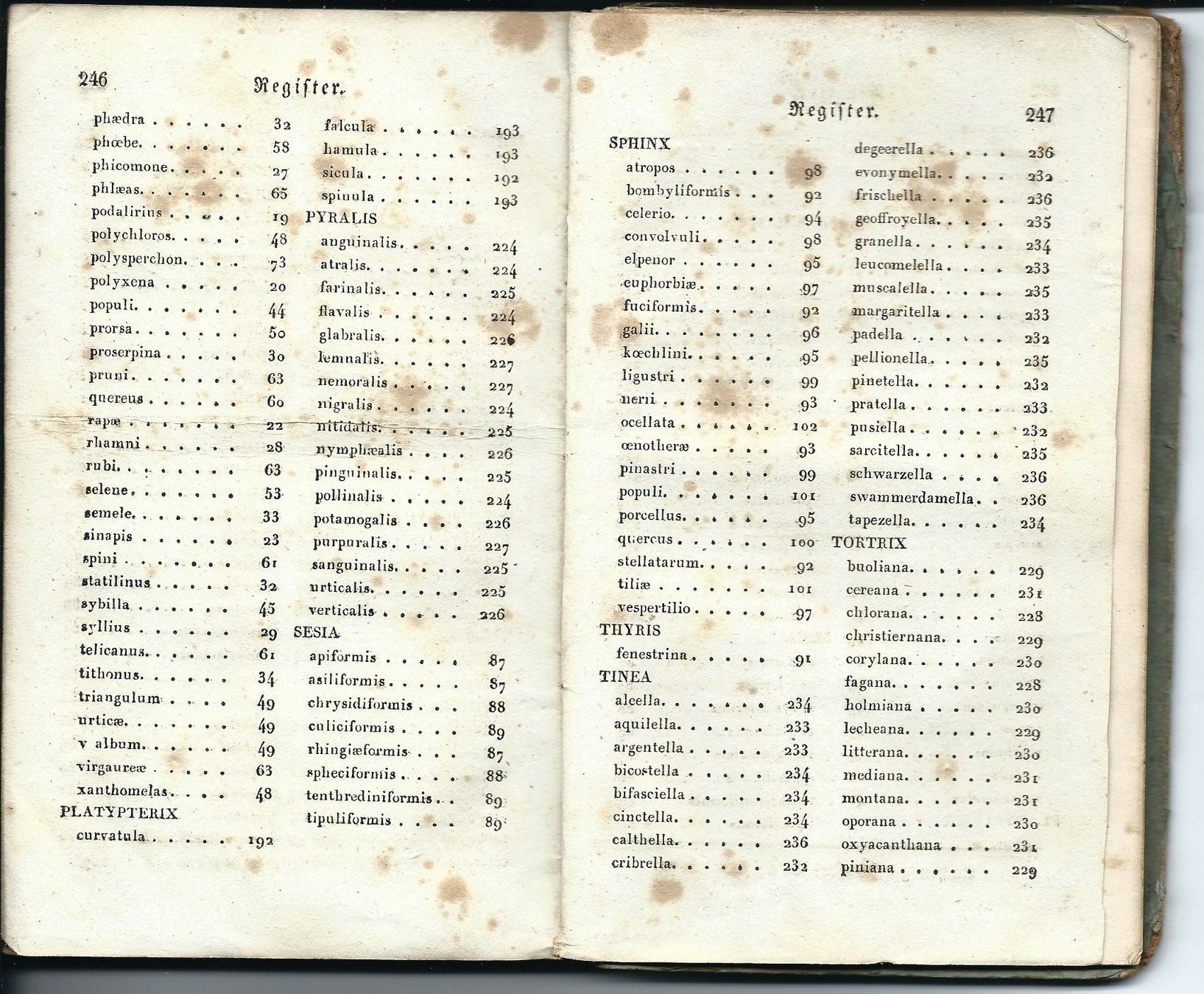 Libri: Schmetterling Buch von 1827 – Usato da Chambesy venduto da Mfluc714 2