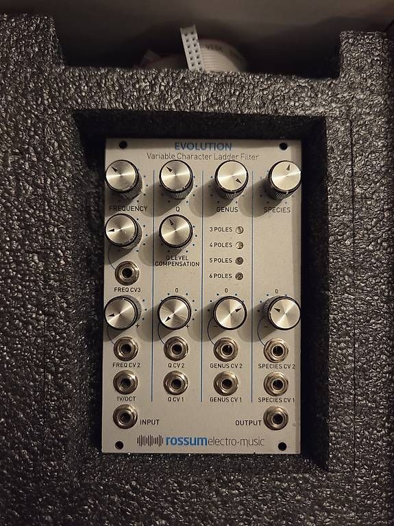 Strumenti musicali: Rossum Evolution Eurorack Modul – Usato da Zürich venduto da Flvr