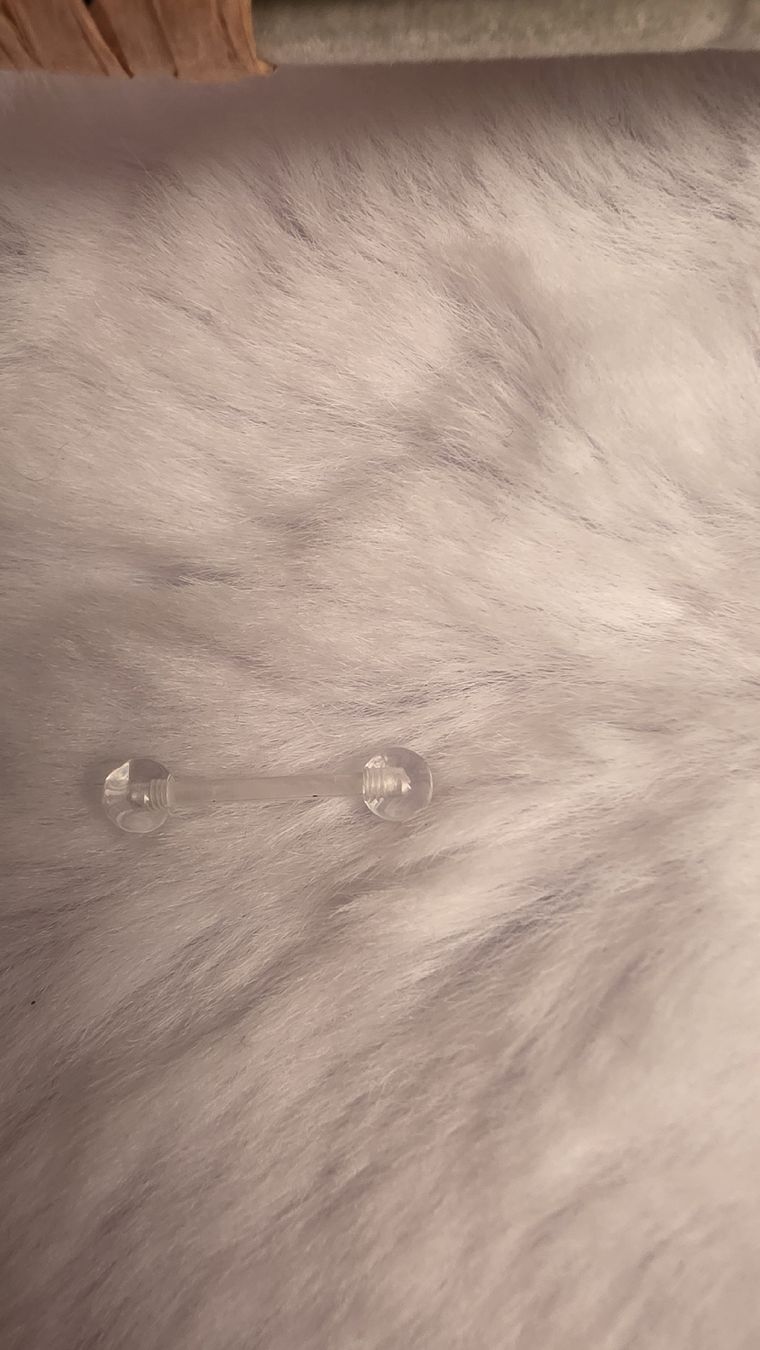 Piercingschmuck: durchsichtiges Piercing  – Neu (gemäss Beschreibung) aus Widen von kev_f5vk