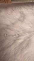 durchsichtiges Piercing 