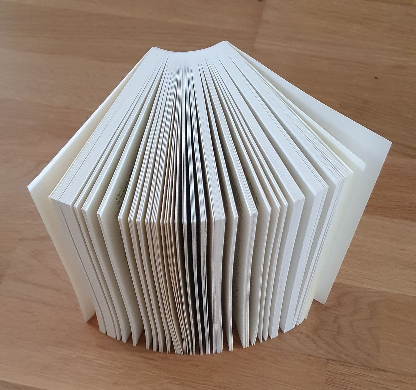 Libri: Bis ich dich finde / von John Irving – Usato da Emmenbrücke venduto da Re6020 2