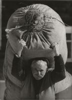 Landwirtschaft, Bergbauer, Tourismus, Originalfoto