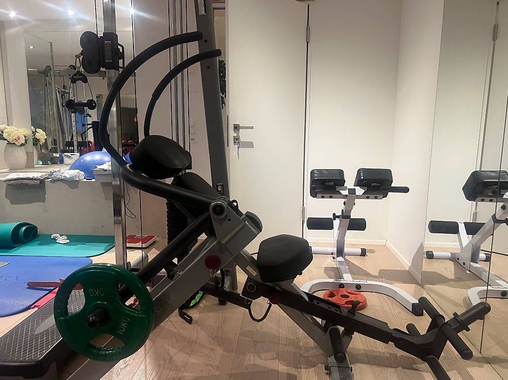 Hometrainer: Bauchmuskel-Maschine – Usato da Ruggell venduto da bwi_k5zs 2