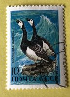 Briefmarken aus Sowjetunion (CCCP) gestempelt Siehe Original