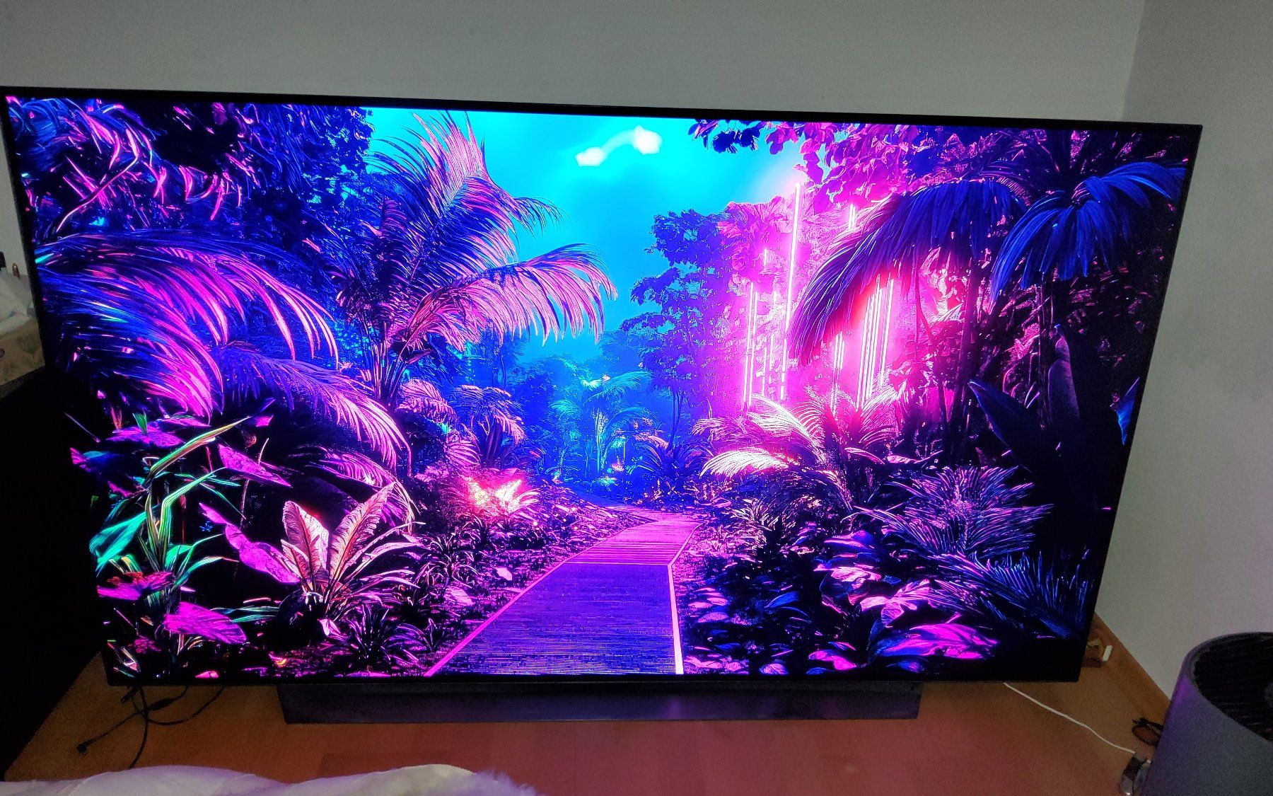 LG Televisori: LG OLED77CX – Usato da Ruggell venduto da Tim-Werk 4