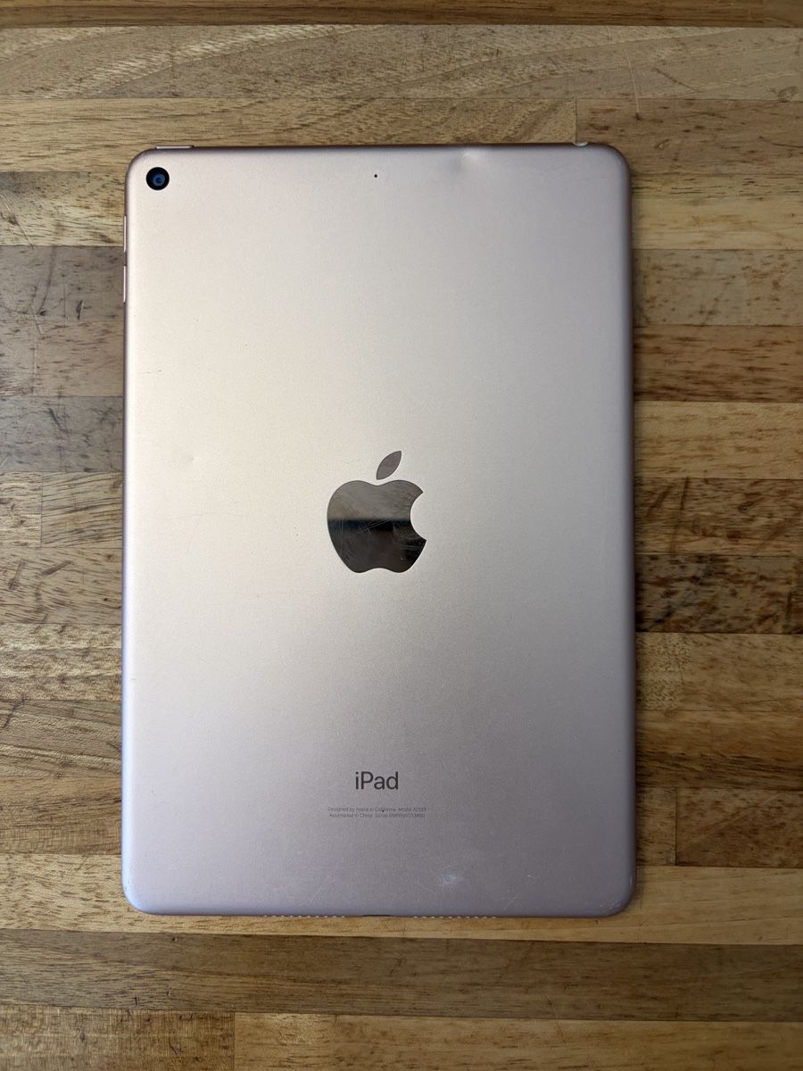 Apple Tablet PC: Apple iPad Mini 5 256 GB Rosé  – Difettoso da Müllheim Dorf venduto da Checker87 2