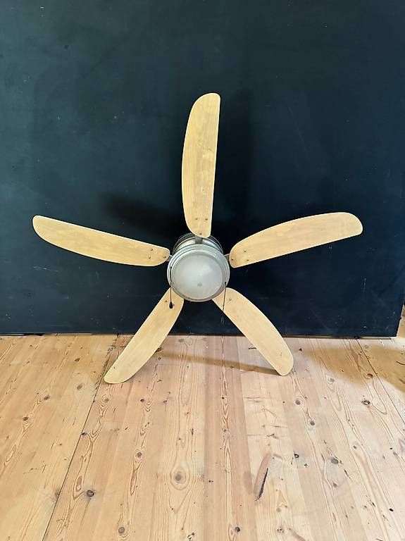 Ventilateurs: Deckenventilator und Lampe – D'occasion à Missy par bernhardiner02