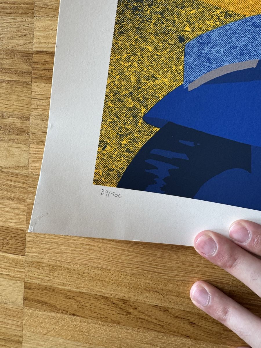 Foto & Immagini: Limited Edition Print Simon roussin – Usato da Fribourg venduto da mariedw 2