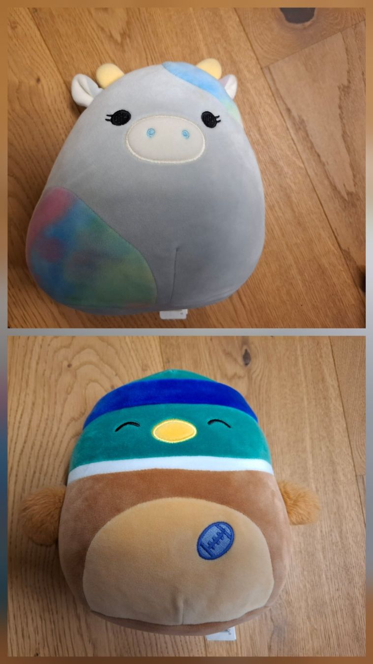 Squishmallows Jouets: 2x Squishmallow 20cm – D'occasion à Mels par Aloha86
