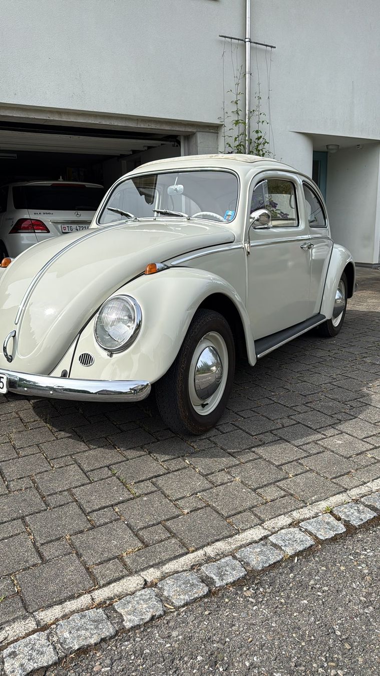 VW Autos: VW Käfer 1200 Deluxe  – Gebraucht aus Felben-Wellhausen von val_js86