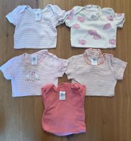 5 kurzarm Bodys von Sanetta Grösse 68 Bio Baumwolle