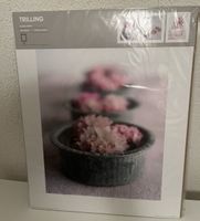 Poster IKEA, 40x50 cm (3 Stück)