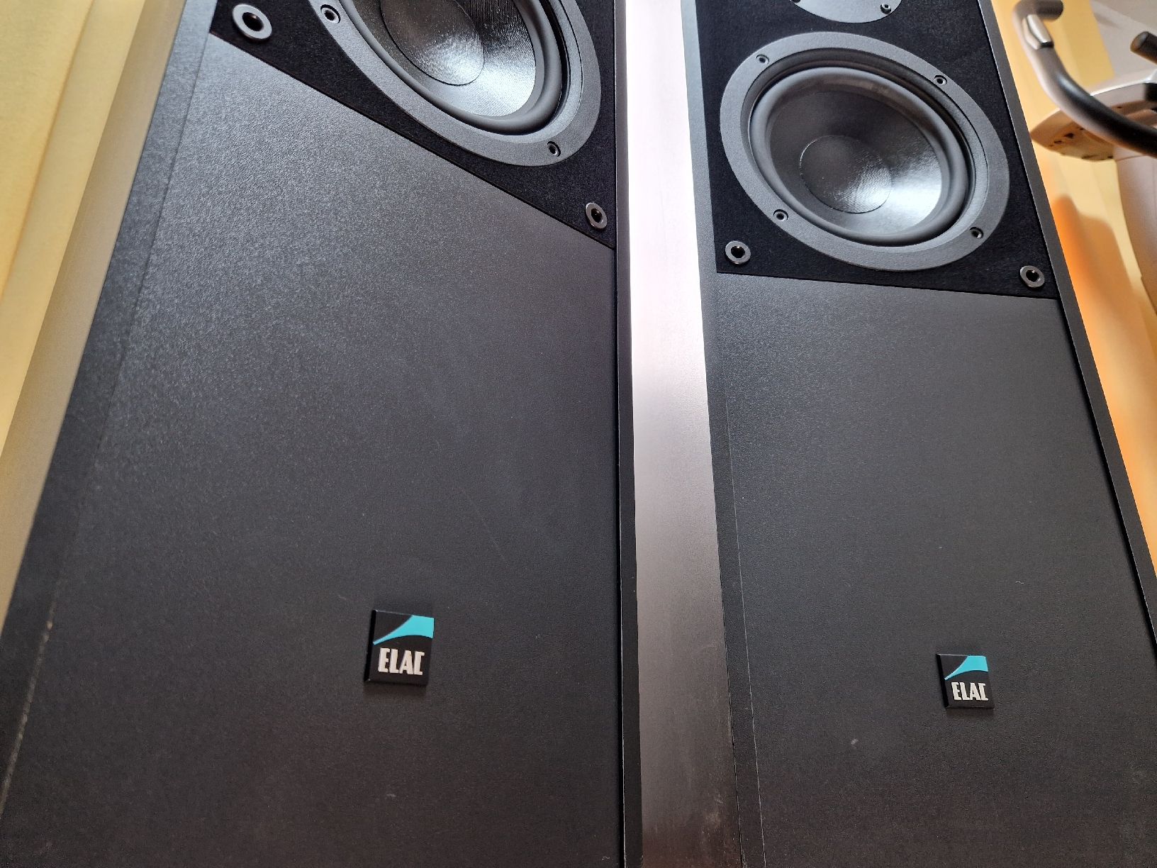 Elac Casse acustiche: Elac ELT 10 – Usato da Arbon venduto da Mayak_Sound 3