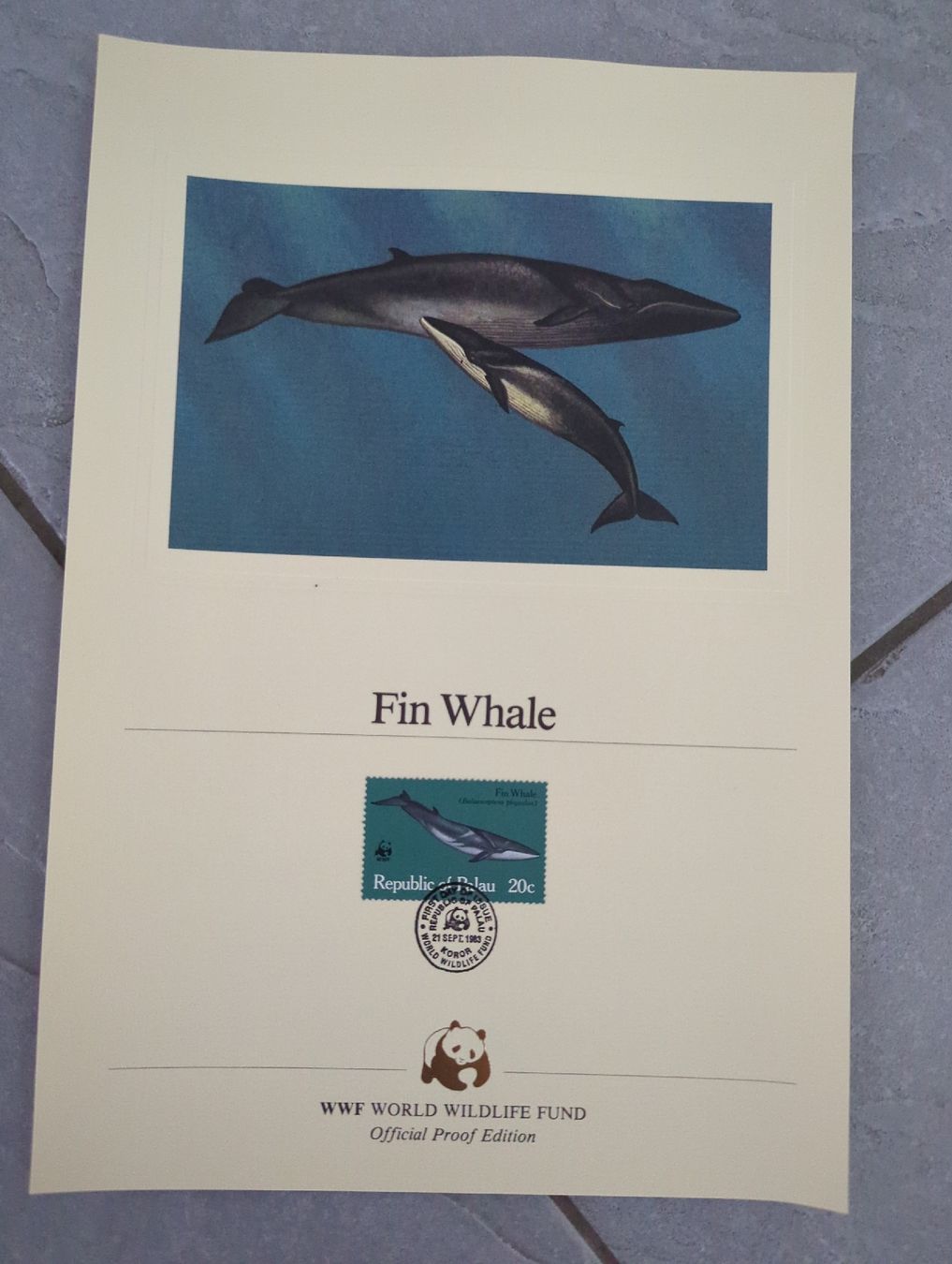 Alle Briefmarken: WWF Proof Edition, Palau, 4 Motive – Neu (gemäss Beschreibung) aus Kirchberg BE von Swoosh 3