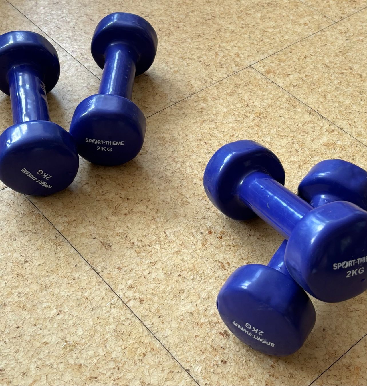 Manubri & Pesi: Kurzhantel, 2kg – Usato da Küssnacht am Rigi venduto da michimove