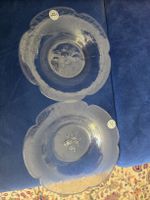 2 Glassenschalen Blumenform klein  guter Zustand