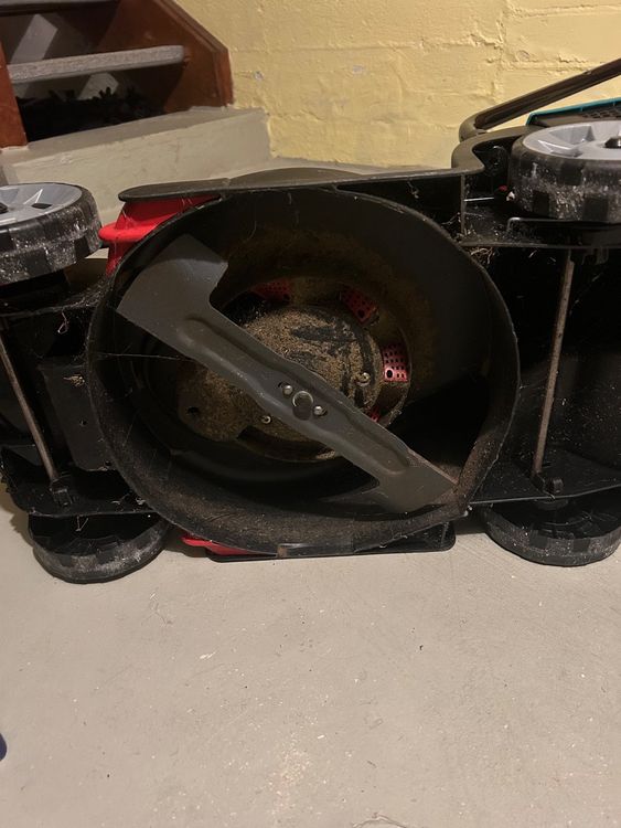 Rasenmäher Bosch Rotak 36V Kaufen auf Ricardo