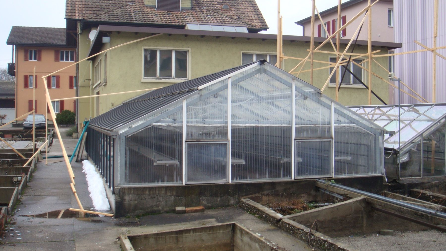Bicchieri: Treibhaus Kirchhofer 5 x 10 m – Usato da Schangnau venduto da Ananta 2