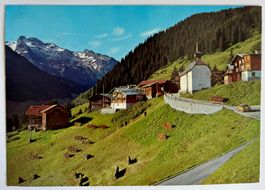 Mutschnengia - Val Medel