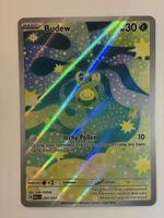 Pokemon Karte Budew 221/217 Rare Ascended Heroes EN ab 1,-Fr
