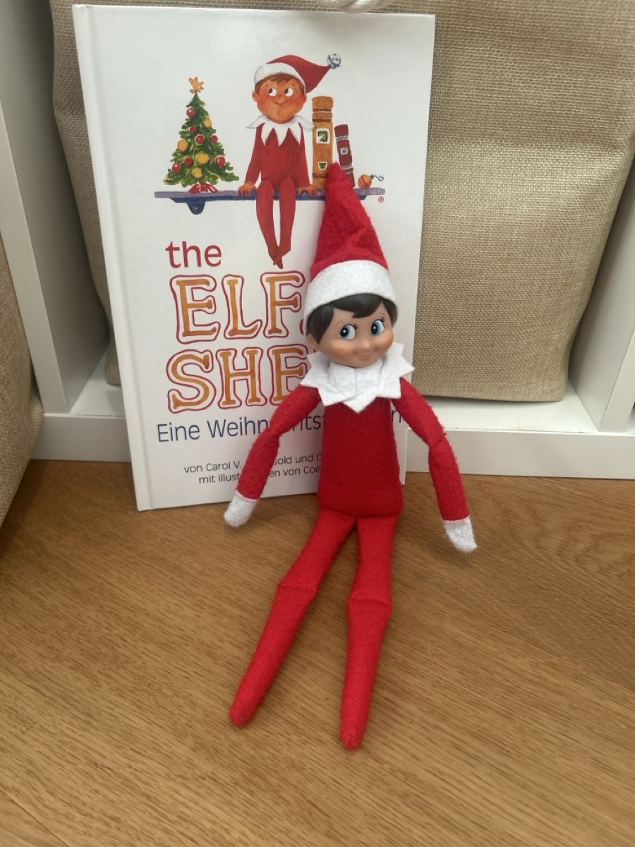 Libri: Elf on the Self – Usato da Matzendorf venduto da Fla5
