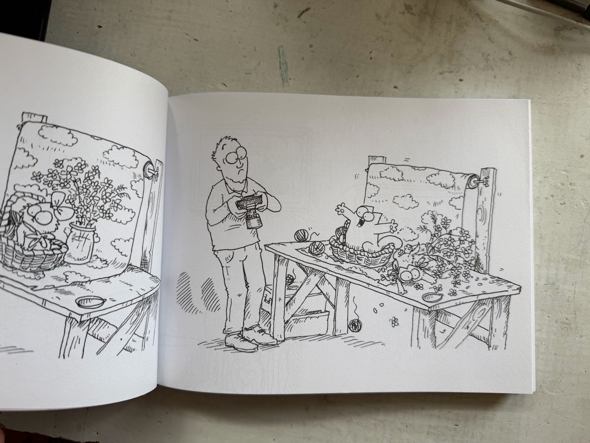 Fumetti: Simons Katze: Kätzchenchaos – Usato da Dietikon venduto da Buchantiqdietikon 1