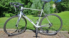 Rennrad Giant Defy XL Rahmen