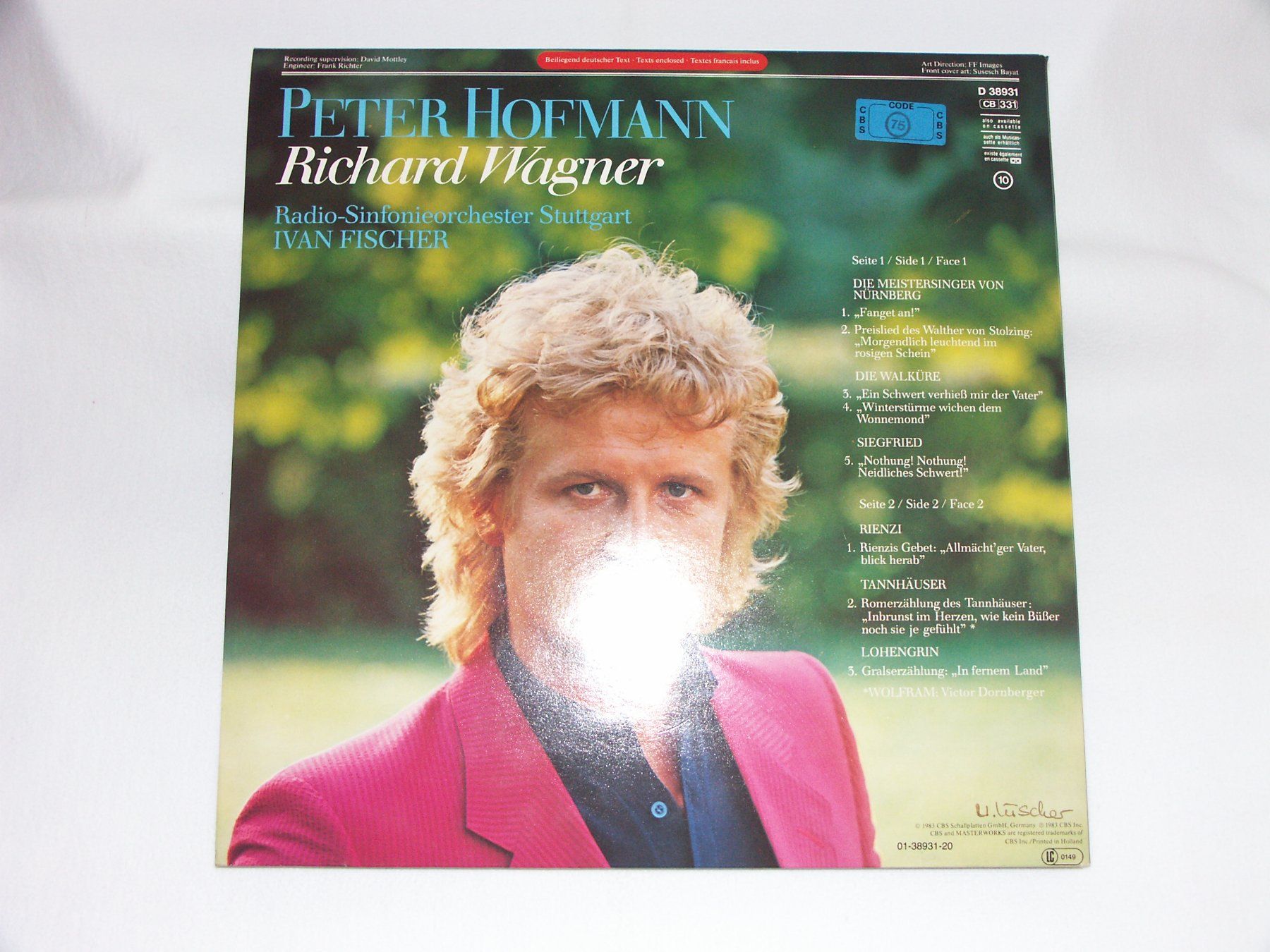 Dischi in vinile: Schallplattensammlung – Usato da Aarburg venduto da fed_5vhw 1