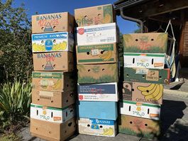 Cartons à bananes pour déménagement