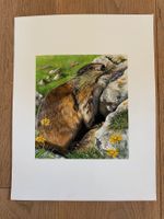 Original Bild Murmeltier, handgemalt