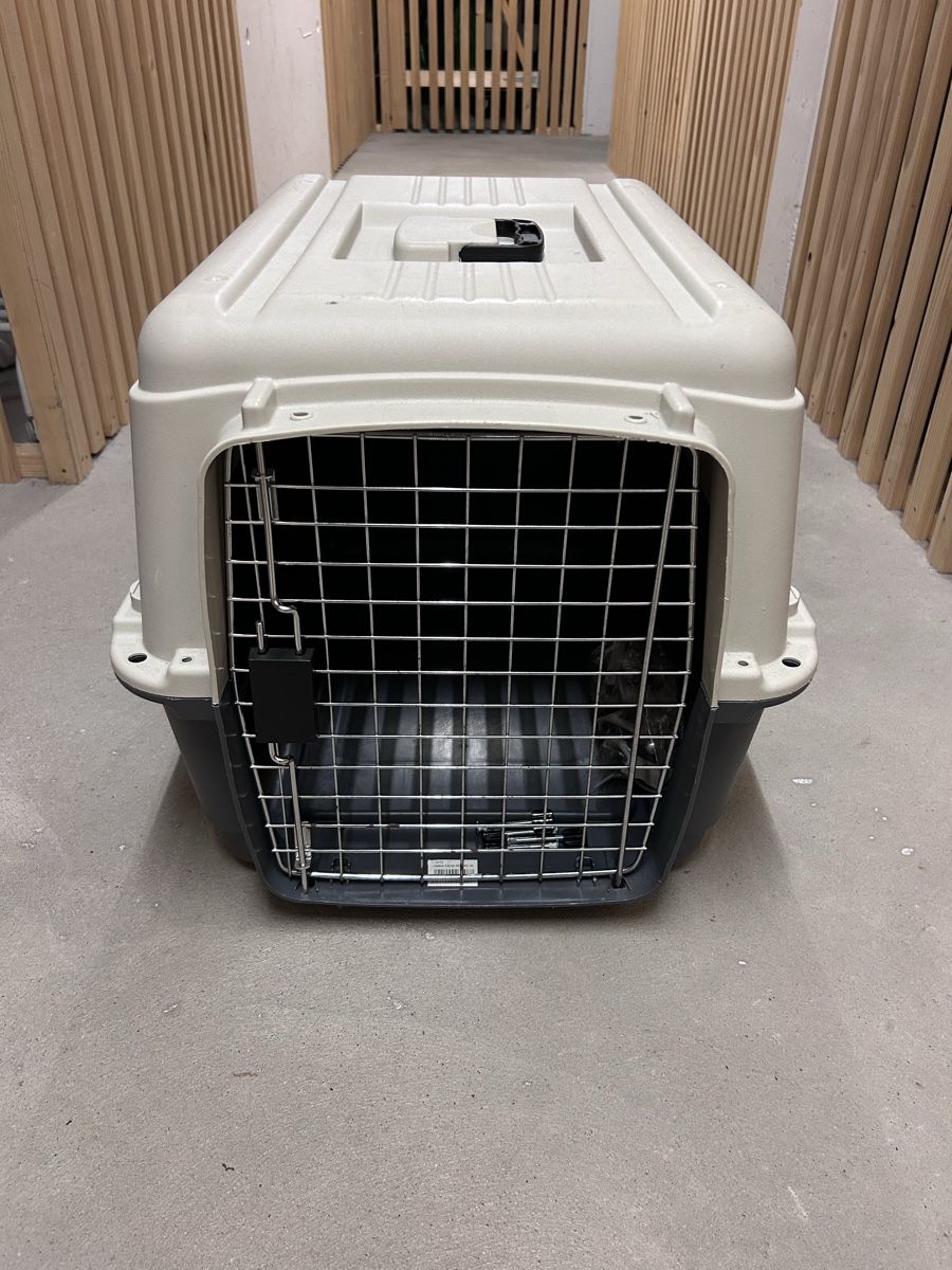 Gabbie, trasporto & Sicurezza: Transportbox /Hunde Gross – Usato da Ibach venduto da Expert_Group