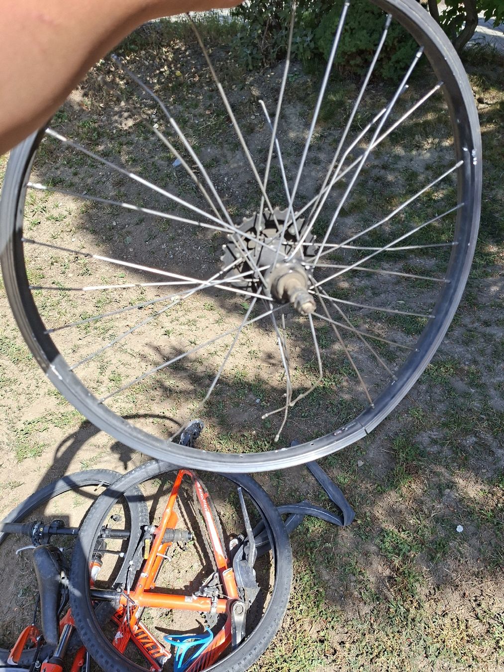 Specialized Velos: velo specialaized comme neuf – Neu (gemäss Beschreibung) aus Savièse von max_5kwm 2