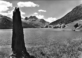 Alte AK Silvaplanersee mit Silvaplana Oberengadin