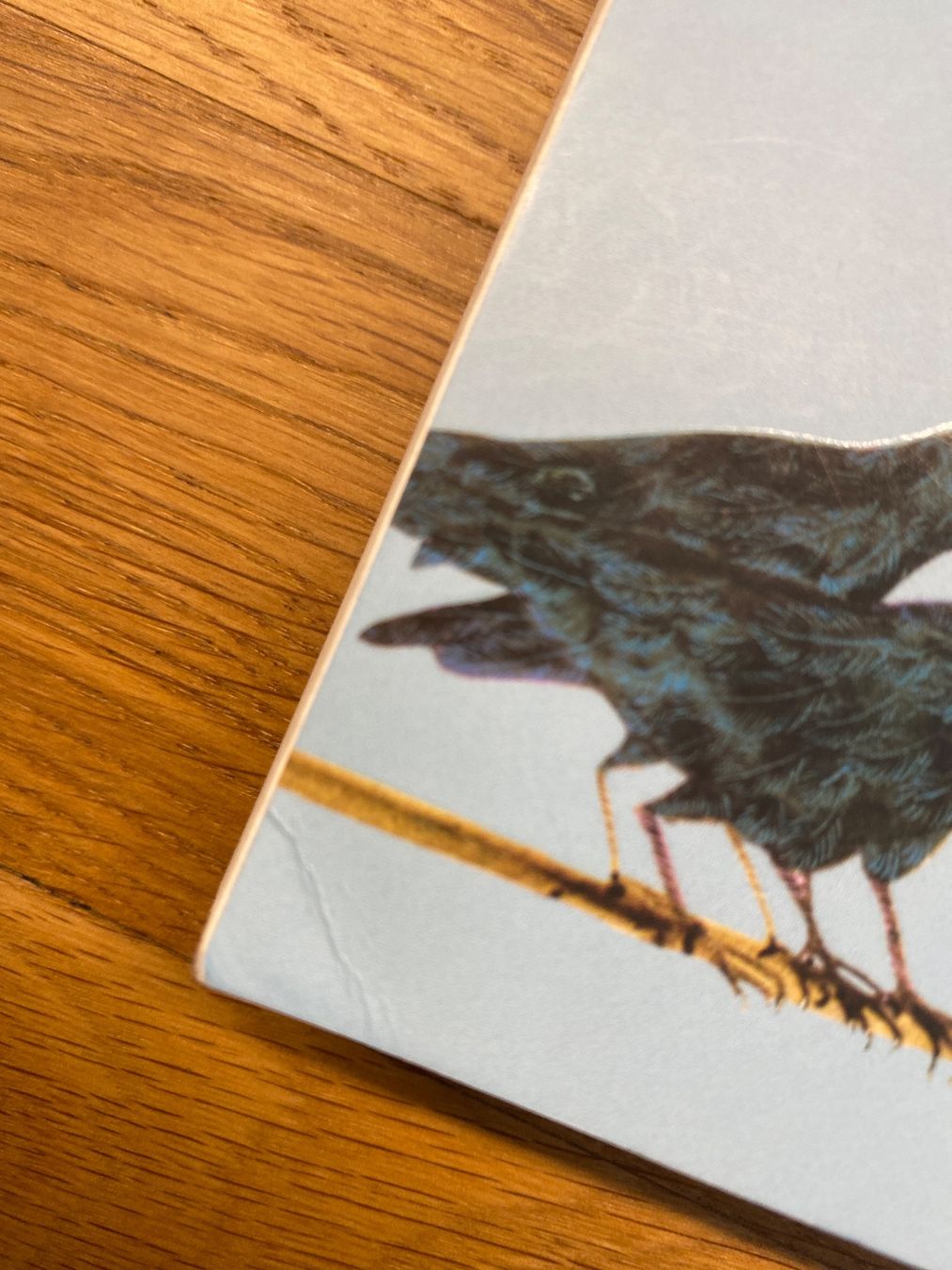 Libri: Krabat, Otfried Preussler – Usato da Schmerikon venduto da tam_k9vb 2