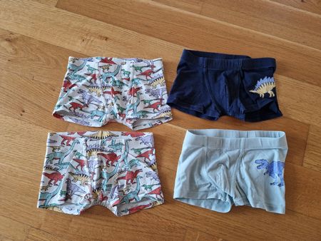 Boxershorts / Trunks mit Dino-Motiv (4 Paar)