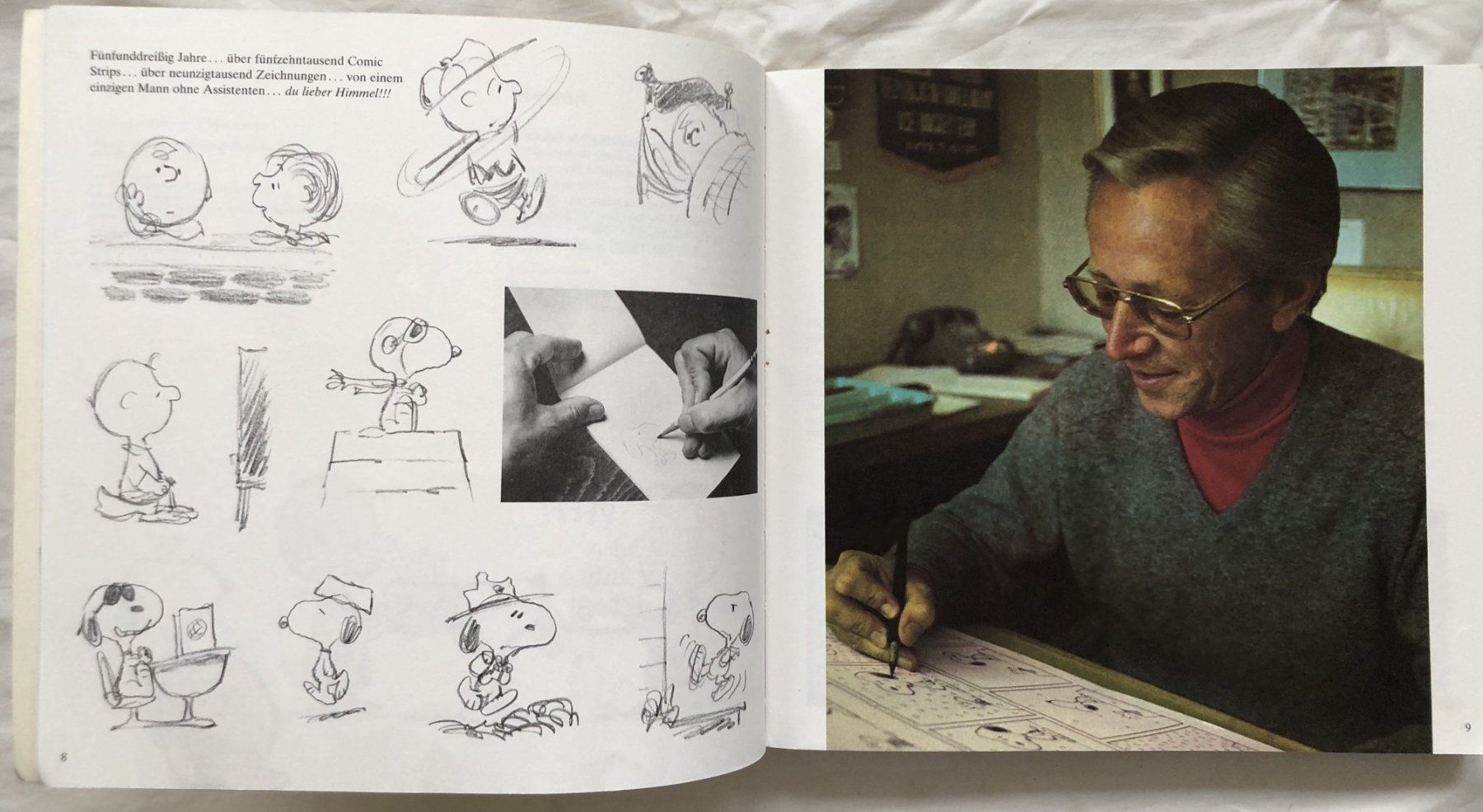 Comics: SNOOPY & DIE PEANUTS - HAPPY BIRTHDAY! – Gebraucht aus Schaffhausen von durruti 5
