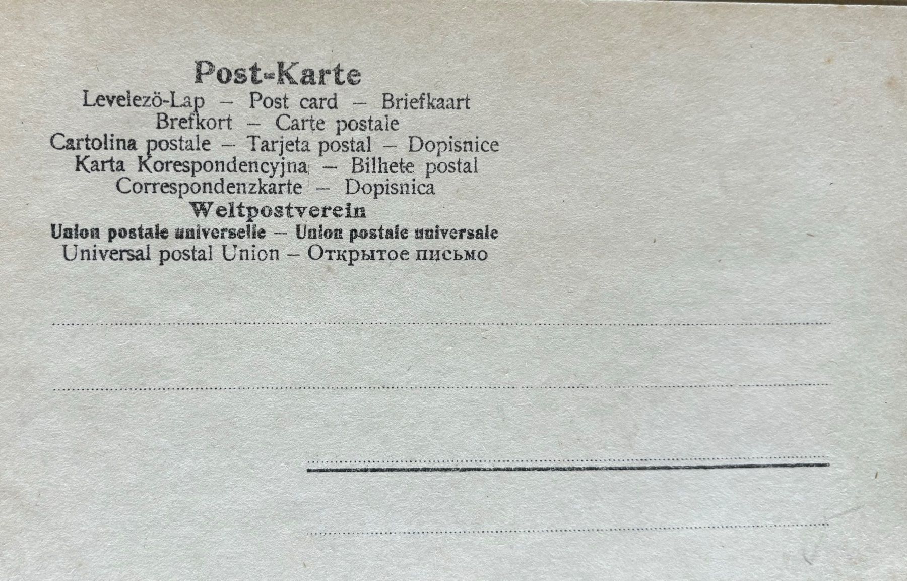 Cartoline postali: Fotokarte Pferd, Fohlen – Usato da Frauenfeld venduto da Merk52 1