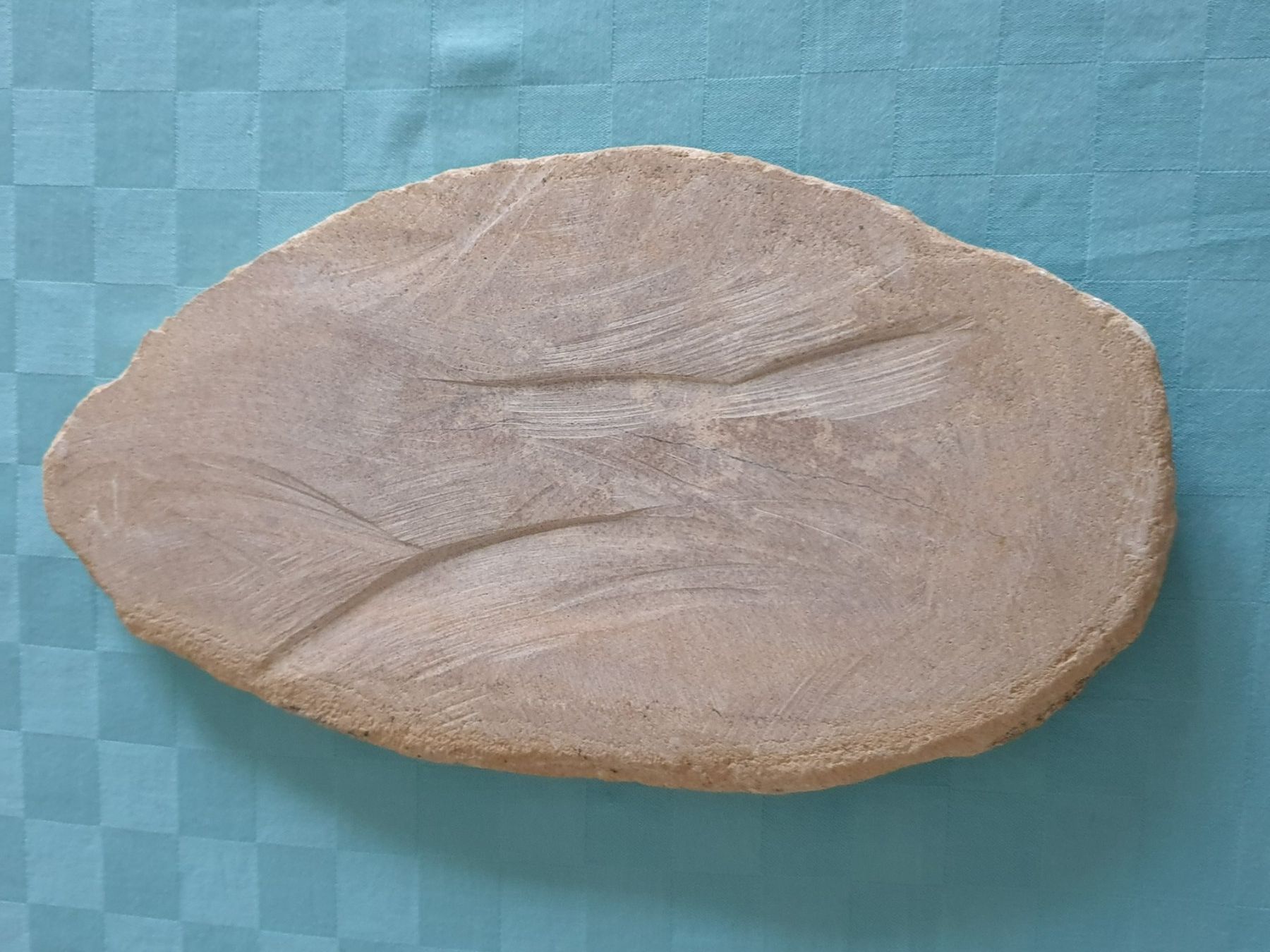 Fossili: versteinerter Fisch zweiteilig – Usato da Mörschwil venduto da spirspi 2