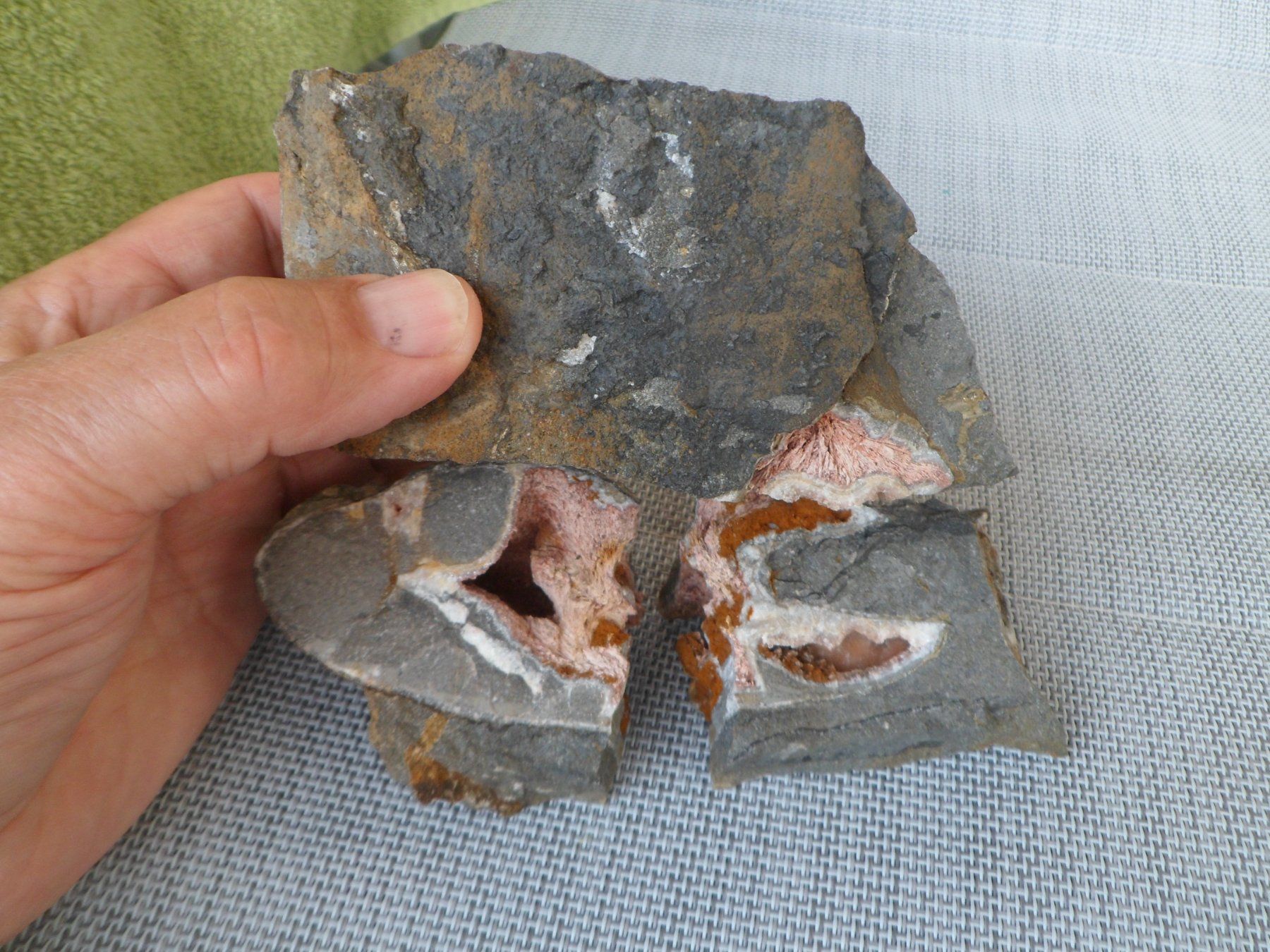 Fossili: Ammonitstück dreiteilig. Schweiz – Usato da Affoltern am Albis venduto da Fossil60 9